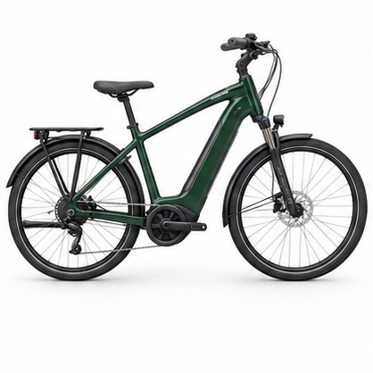 Gazelle Medeo T10 HMB, pine green glänzend, illustrative Abbildung
